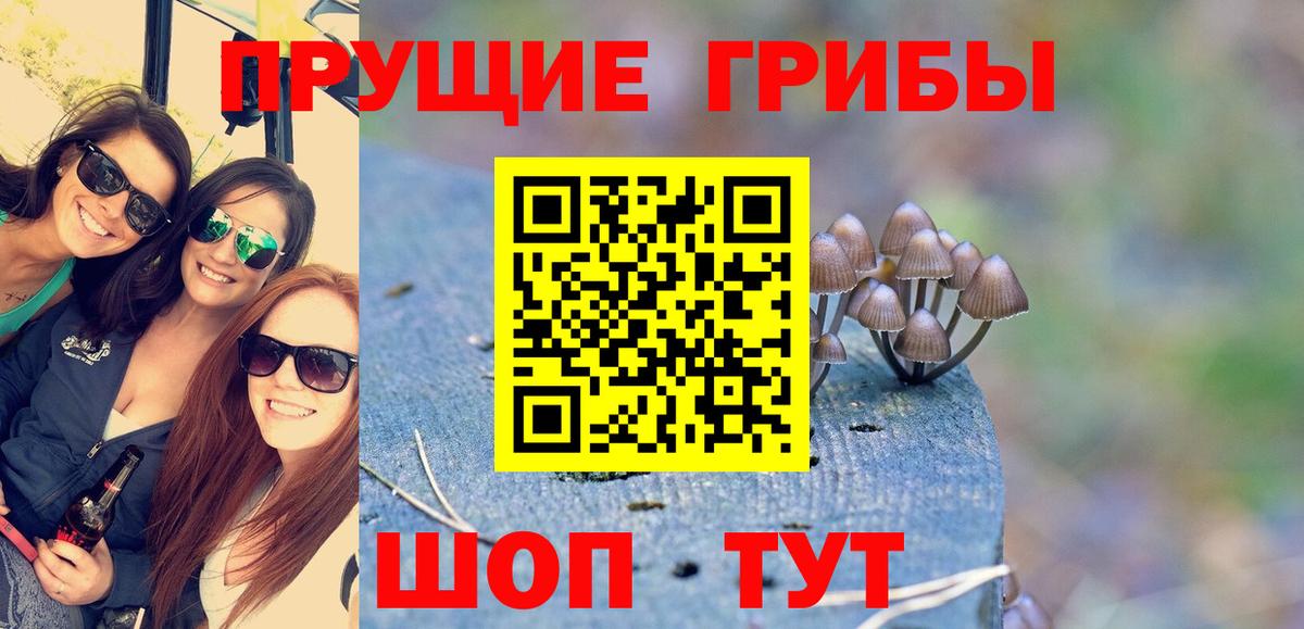 Галлюциногенные грибы мицелий Комсомольск-на-Амуре